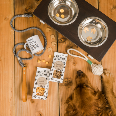 Large Elevated Dog Bowl Stand - X Pattern Farmhouse Table - Raised Dog -  billscustombuilds