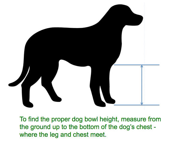 Standing Height Adjustable Dog Bowl Multi-size Floor Type Pet